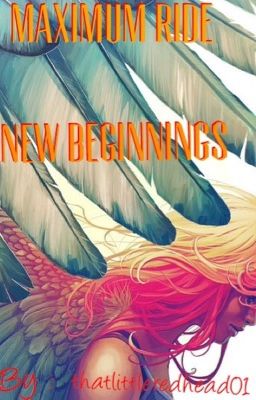 Maximum Ride : New Beginnings