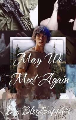 May We Meet Again [Bellamy Blake - The 100]