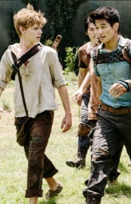 Maze Runner Trivia