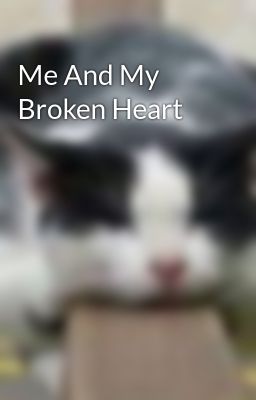 Me And My Broken Heart