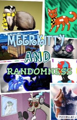 MEERKITTY AND RANDOMNESS {Random Book #2}