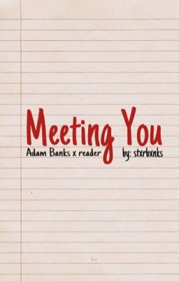 Meeting You (a.banks x y/n)