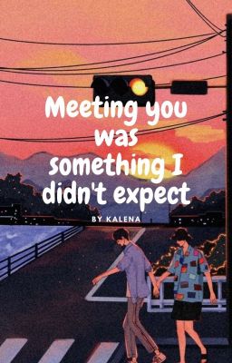 Meeting you was something I didn't expect