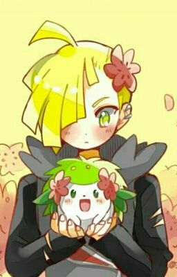 Megan x Gladion 