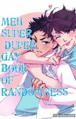 MEH SUPER DUPER GAY BOOK OF RANDOMNESS 