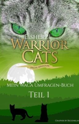 Mein WaCa Umfragen-Buch| Teil 1