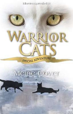 Meine Cover