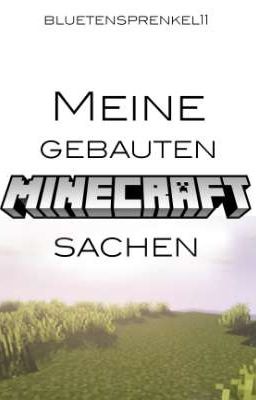 Meine gebauten Minecraft sachen