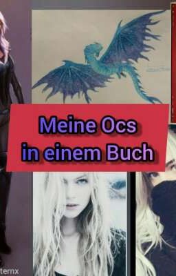 Meine Ocs in einem Buch ⭐