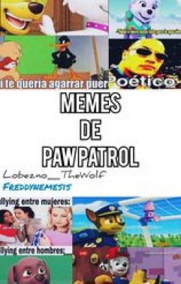 Memes de paw patrol