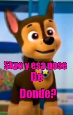 Memes de paw patrol y mucho mas.