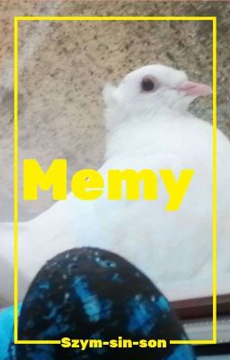 Memy 