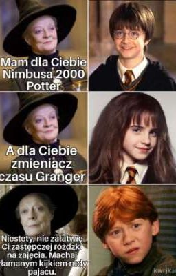 MEMY HARRY POTTER 