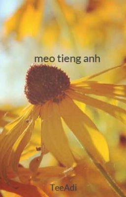 meo tieng anh