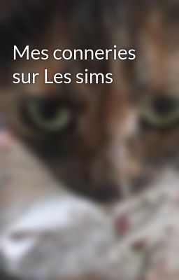 Mes conneries sur Les sims