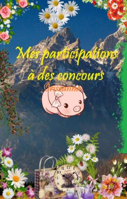 Mes participations à des concours