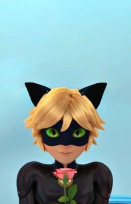 Mi Lindo Gatito Negro (Chat Noir y tu)