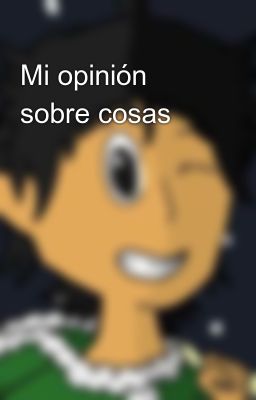 Mi opinión sobre cosas