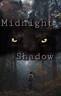 Midnight Shadow 