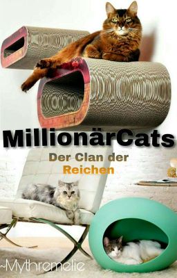 Millionär Cats - Der Clan der Reichen