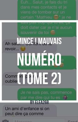 Mince! mauvais numéro (TOME 2)