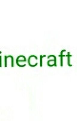 Minecraft rp