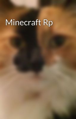 Minecraft Rp