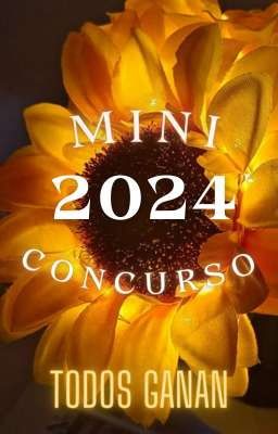 mini concurso 2024