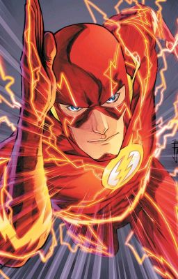 Miraculous and The Flash crossover: Time Trouble. (Book 1)