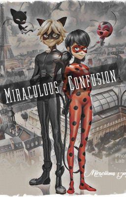 Miraculous : Confusion