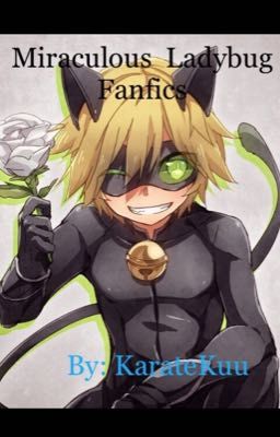 Miraculous Ladybug Fanfics