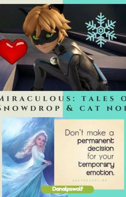 Miraculous; Tales of Snowdrop and Cat Noir