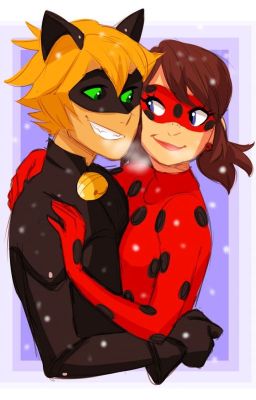 Miraculous x Male Reader One-shots