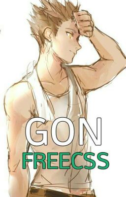 Mirada Risueña-Hunter x Hunter-Gon Freecss [+18]