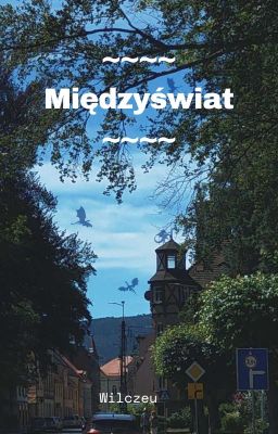 Międzyświat