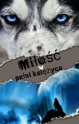 Miłość w pełni księżyca