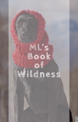 ML's Book of Wildness 