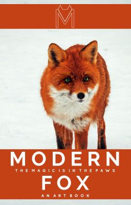 Modern Fox | an art book