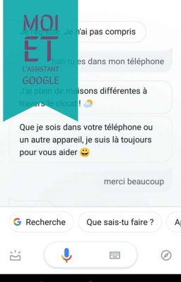 Moi et l'assistant google