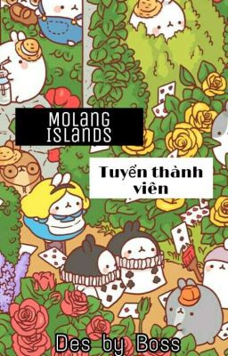 Molang Islands - Tuyển thành viên 