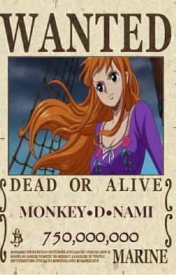 Monkey D Nami