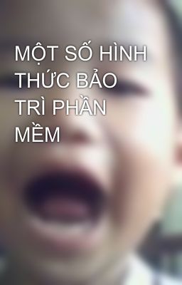 MỘT SỐ HÌNH THỨC BẢO TRÌ PHẦN MỀM