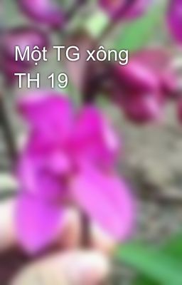 Một TG xông TH 19