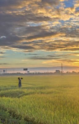 Mùa Hè Của Chúng Ta