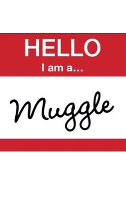 Muggle in a Wizard's World