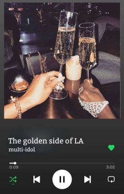 multi-idol | the golden side of L.A