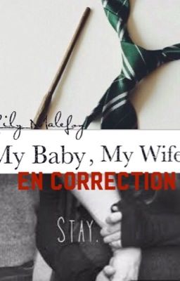 My Baby , My Wife - Drămiøne - OS||EN CORRECTION||