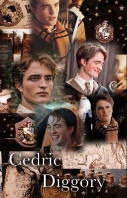 My Beloved ( Cedric Diggory x Sophie  Potter) 