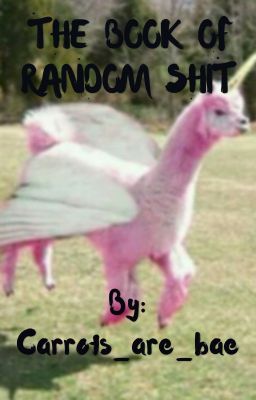 MY BOOK OF RANDOM SHIT 