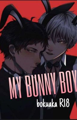 My Bunny Boy [ BokuAka ] [R18]